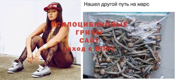 МДПВ Алексин