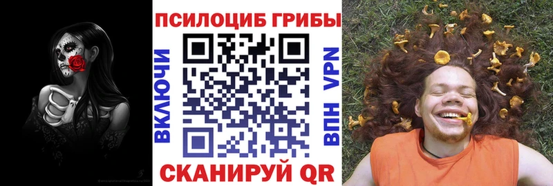 Псилоцибиновые грибы Psilocybine cubensis  продажа наркотиков  Лахденпохья 